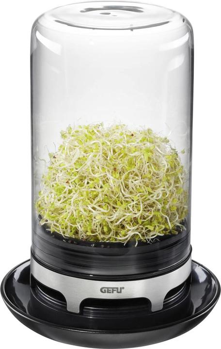 Produktbild GEFU Sprossenglas Bivita