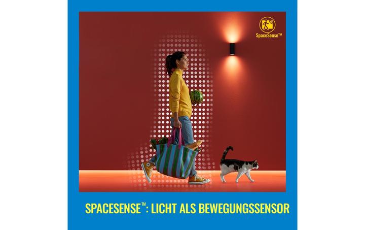 Actual product image WiZ Incandescent lamp (E27, 7 W, 806 lm, 2 x, E)