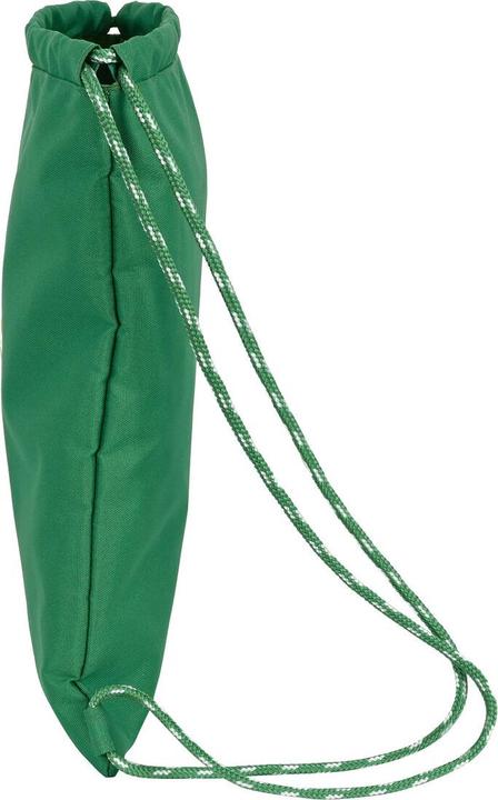 Actual product image Real Betis Balompié Backpack bag with straps green