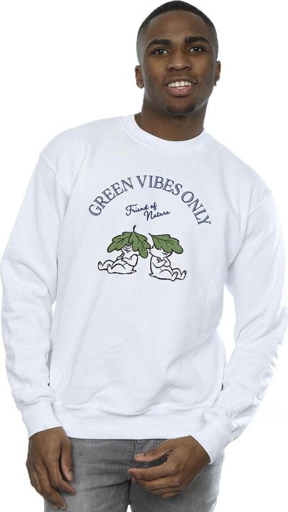 Produktbild Disney Chip 'n Dale Green Vibes Only Sweatshirt (S)