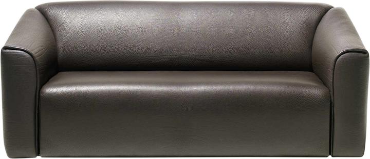 De Sede Ds-47/23 Sofa (2-Sitzer)