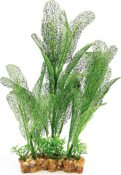 Image du produit Amazonas Plante fantastique VBS 30cm (Décoration, Plantes)