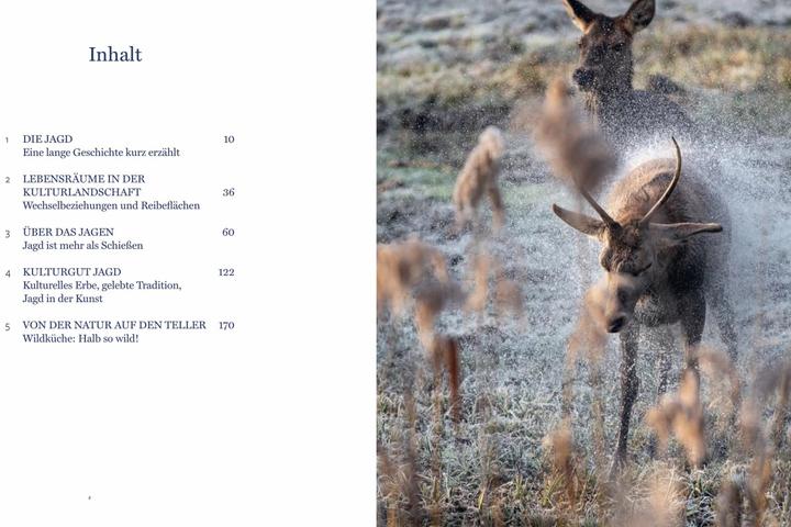 Produktbild Auf der Jagd (Deutsch, Elisabeth Auersperg-Breunner, 2023)