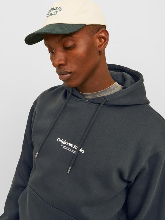 Actual product image Jack & Jones Printed hooded sweatshirt Hooded sweatshirt (L)