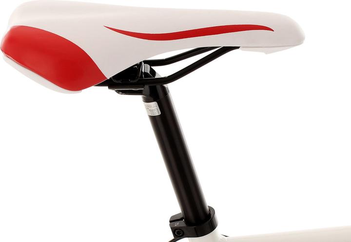 Produktbild KS Cycling Euphoria (58 cm)