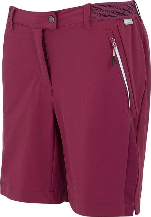 Image du produit Regatta Mountain Shorts II (XS)