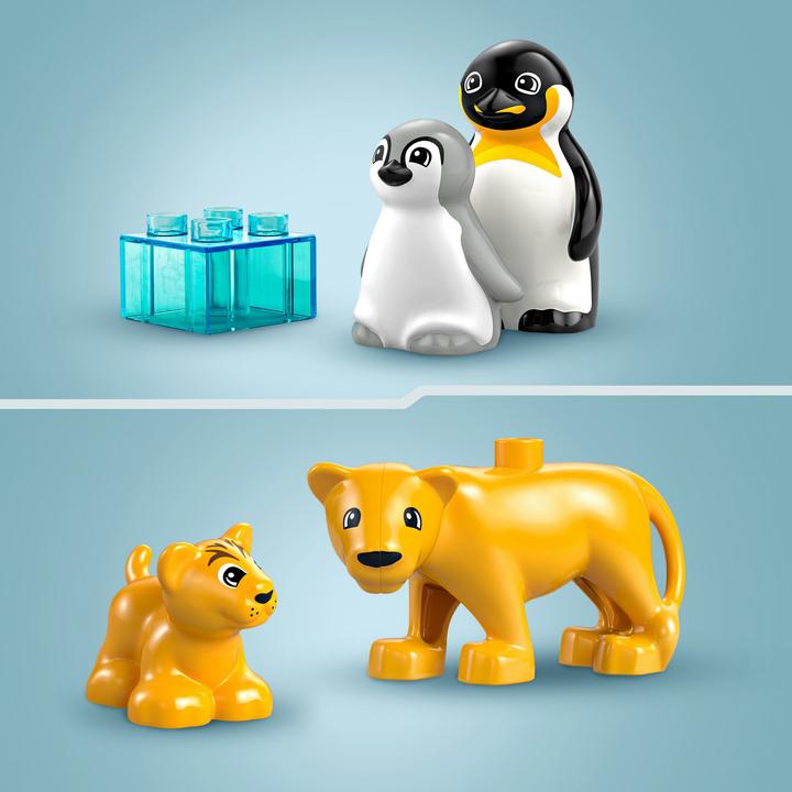 Actual product image LEGO Wildtier-Familien: Pinguine und Löwen (10442)
