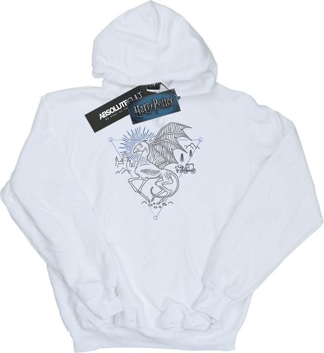 Actual product image Boys Thestral Line Art Hoodie (116)