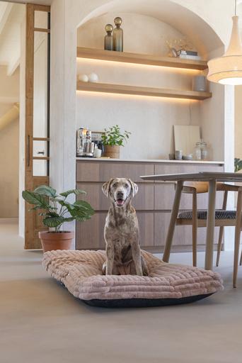 Actual product image Designed by Lotte Reza reclining cushion (Dog)
