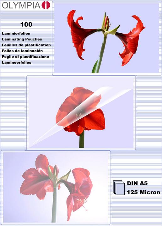 Olympia Feuilles de plastification (A5, 100 pièce(s), 125 µm)