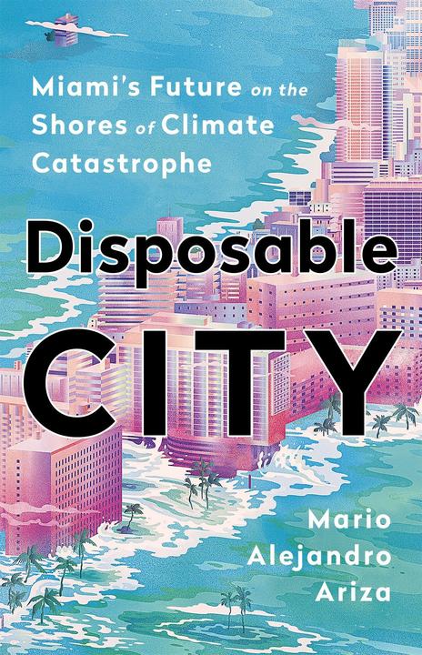 Immagine prodotto Disposable City (Inglese, Mario Alejandro Ariza, 2020)