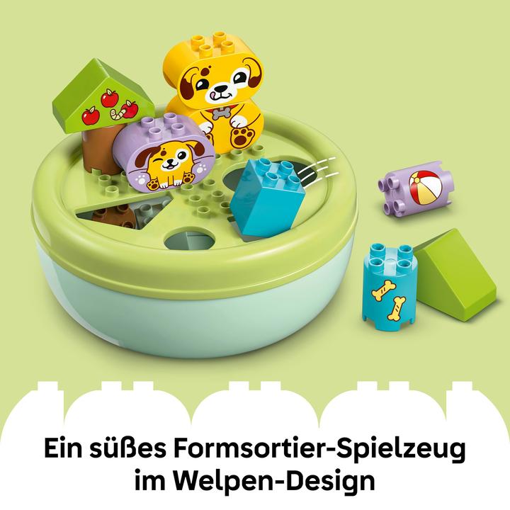 Image du produit LEGO Formsortierer: Welpenhaus (10441)