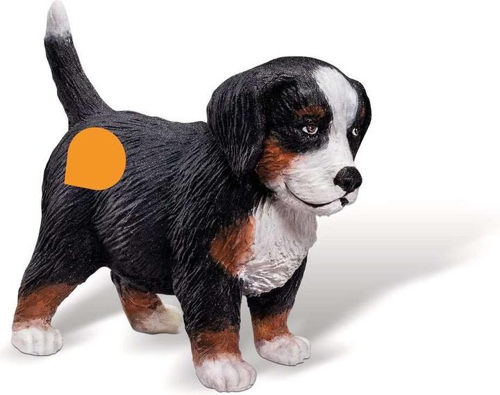 Image du produit tiptoi Bouvier bernois chiot
