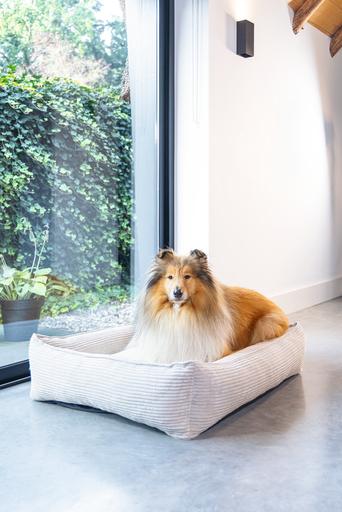 Produktbild Designed by Lotte Ribbed (Hund)