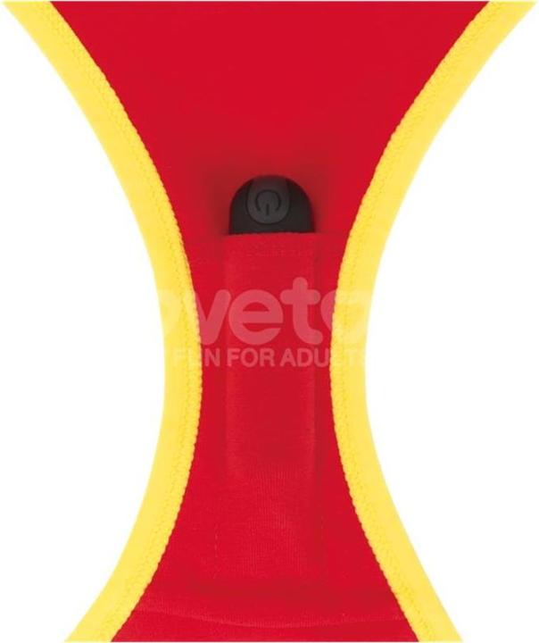 Actual product image Lovetoy Printed Vibrating Sexy Panties "Fuck Hard" (L, XL)