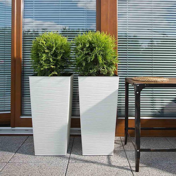 Image du produit Siena Garden Modern (25 cm)