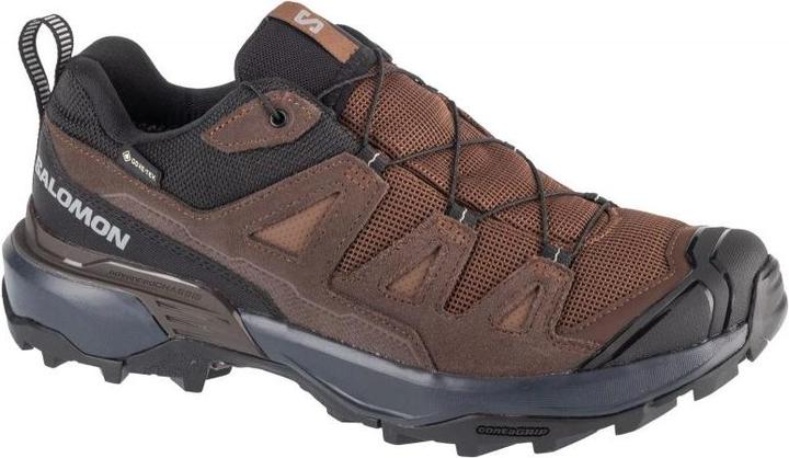 Image du produit Salomon X Ultra Chaussures (47.5)