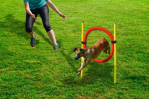 Image du produit Beeztees Bz Agility Pneu Set 60 (Agility)